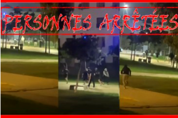 الدار البيضاء.. توقيف شخصين على خلفية شغب رياضي
