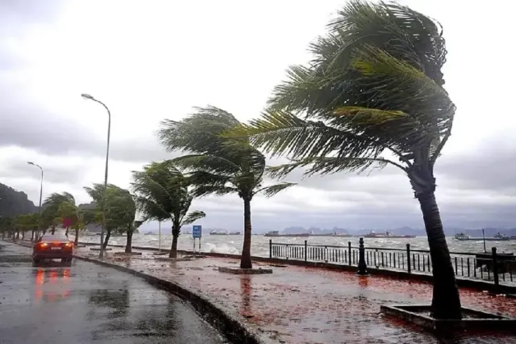 نشرة إنذارية.. زخات رعدية وبرد ورياح قوية تضرب عدداً من مناطق المغرب